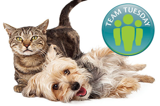 TM July Team tuesday.jpg