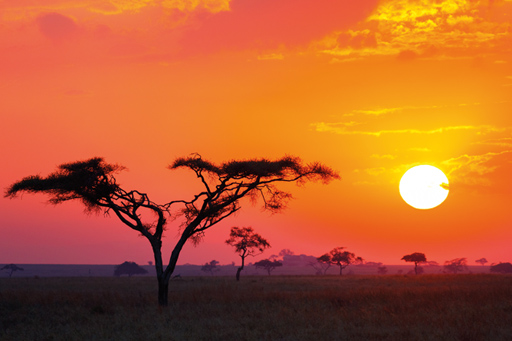 Africa_sunset_malaria_s.jpg
