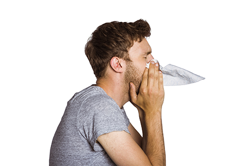 Hayfever ProfAssistant 0416.jpg