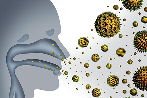 Clearing the air.jpg