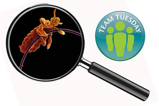 Team Tuesday_parasites.jpg