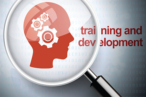 Training and development.jpg