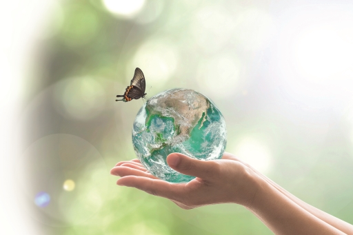 Butterfly water thing.jpg