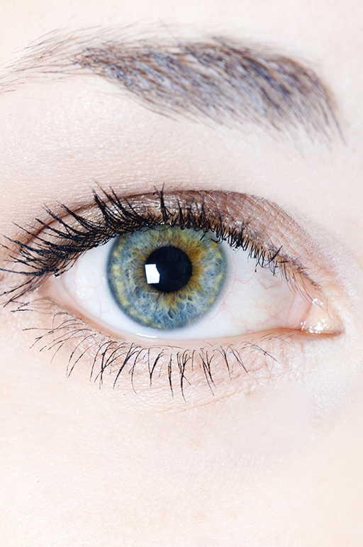 Pharmacist training support eye care 2014.jpg