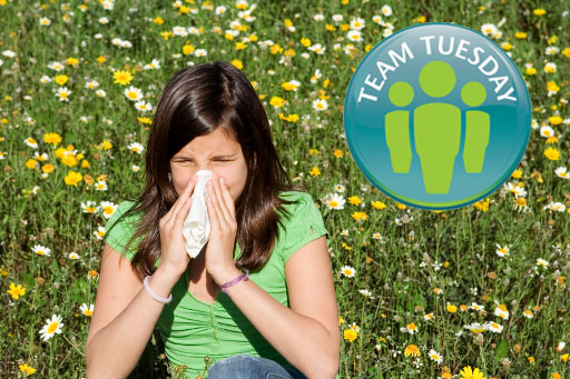 Hayfever Team Tuesday.jpg
