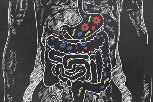 Digestive system_chalkboard_s.jpg