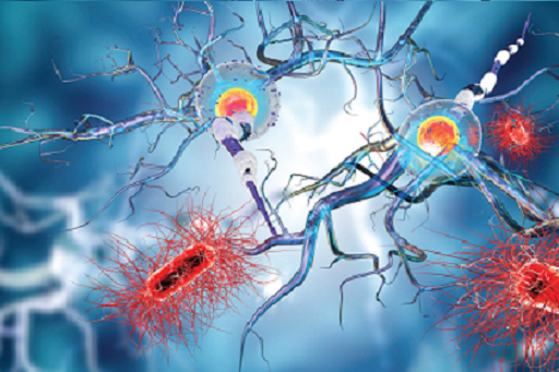 Parkinsons summary.png