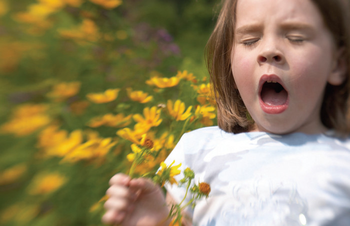 child hayfever.jpg