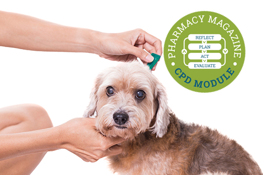 Cats and Dogs CPD.jpg