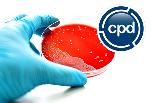 f660df92be6b7fc407db2750b2b62b3d.512x341 copy.jpg