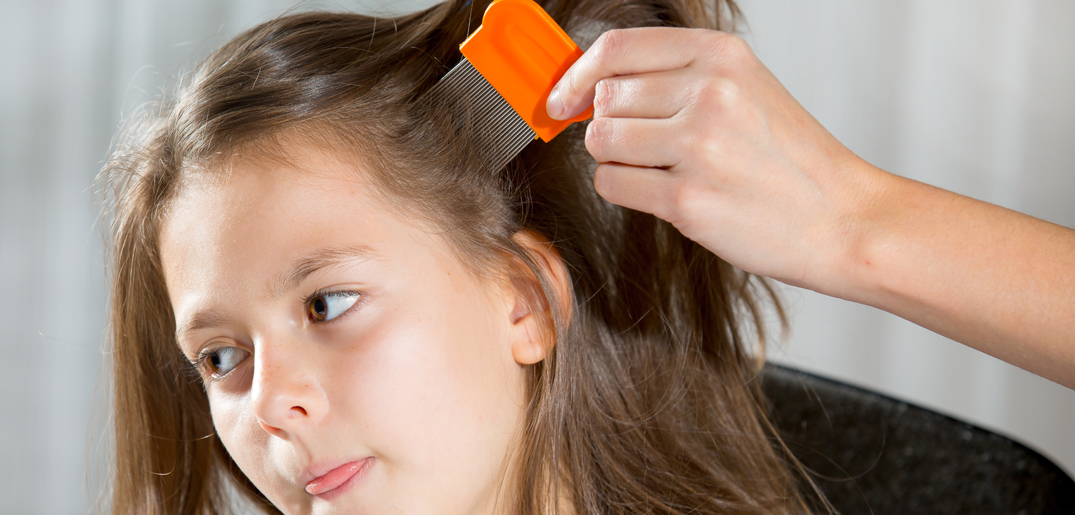 headlice combing.jpg