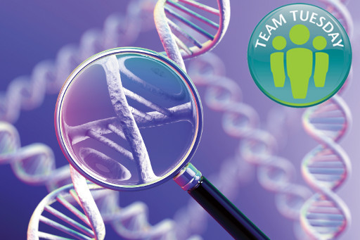 Diagnostics DNA TT.jpg