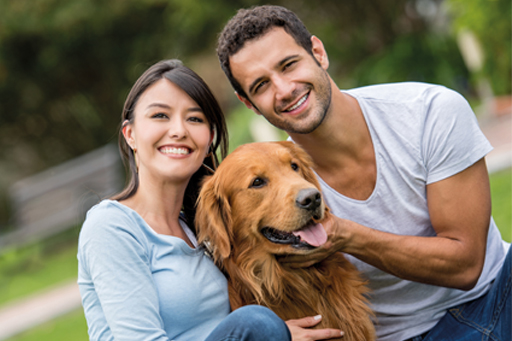 Animal health_dog_owners_s.jpg