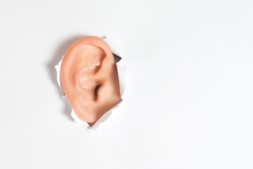 Ear lead pic copy.jpg