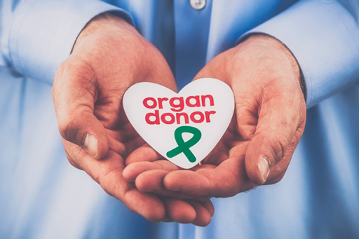 Organ donation_s.jpg